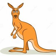 KangGaru